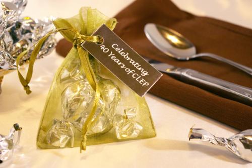 Chocolate Truffle Organza Bag